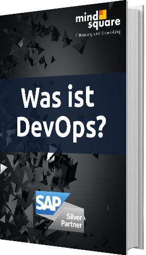 E-Book: Was ist DevOps (development & operations)?
