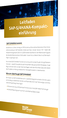 Leitfaden SAP S/4HANA Kompakteinführung [Whitepaper]