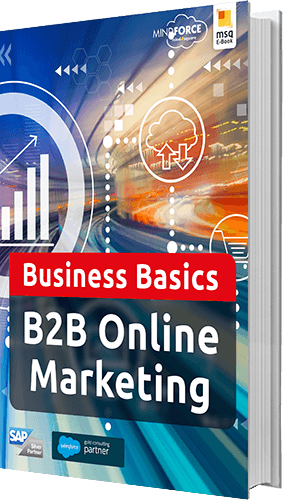 B2B Online-Marketing [E-Book]