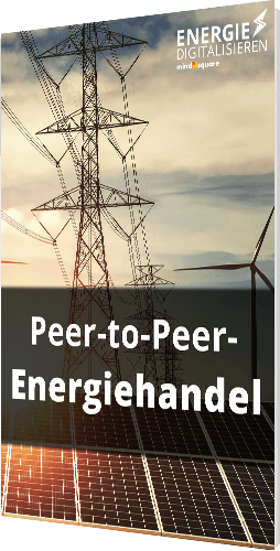 Peer-to-Peer Energiehandel