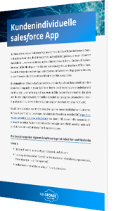 Kundenindividuelle Salesforce App