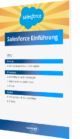 Whitepaper: Salesforce Einführung