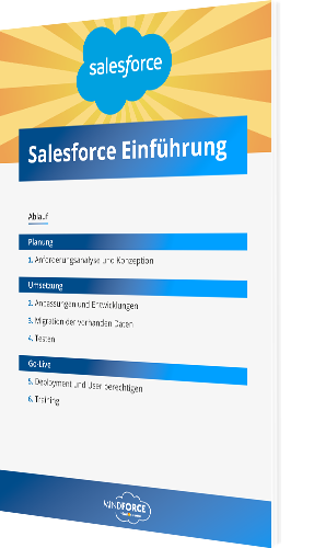 Whitepaper: Salesforce Einführung