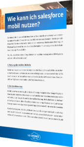 Salesforce mobil nutzen