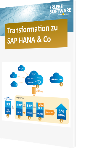 SAP HANA Infografik