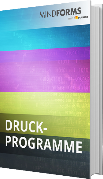 E-Book: SAP Druckprogramme