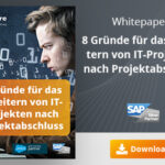 Unser Whitepaper zu Thema 8 Gründe für das Scheitern von IT-Projekten