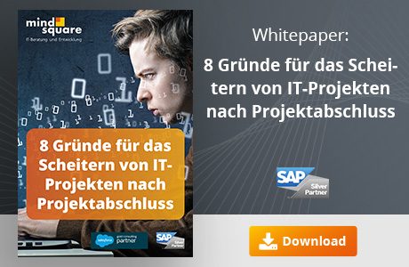 Unser Whitepaper zu Thema 8 Gründe für das Scheitern von IT-Projekten