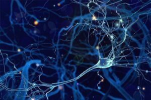 Unser Knowhow zum Thema Convolutional Neural Network