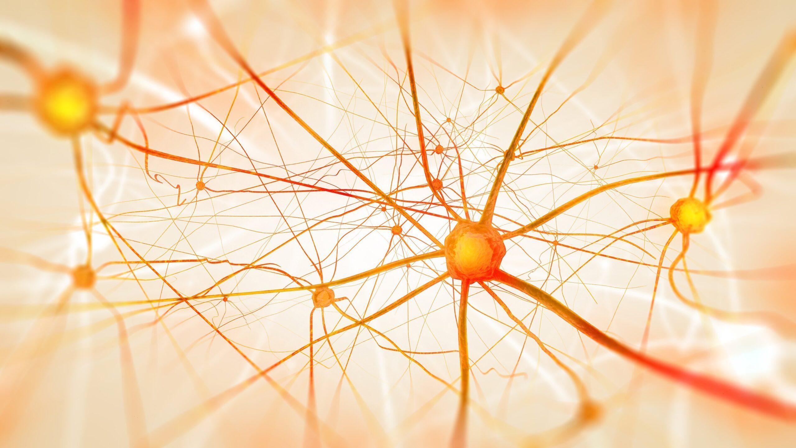 6 Missverständnisse über Künstliche Intelligenz.
