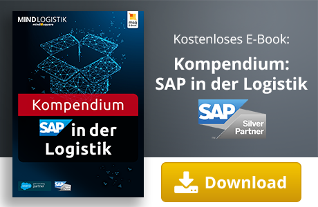 Kategorieseiten Conversion E-Book SAP in der Logistik