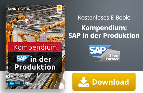 Kategorieseiten Conversion E-Book SAP in der Produktion