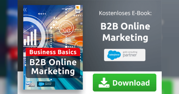 B2B Online-Marketing [E-Book] | Mindforce