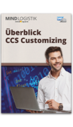 Infografuk Ueberblick CCS Customizing