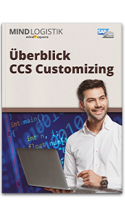 Infografuk Ueberblick CCS Customizing
