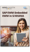 Whitepaper: SAP EWM Embedded EWM in S4HANA