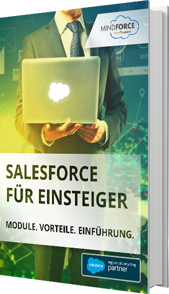 Unser E-Book zu Salesforce für Einsteiger