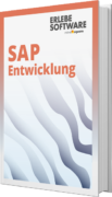 Unser E-Book zum Thema SAP Entwicklung