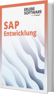 Unser E-Book zum Thema SAP Entwicklung