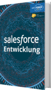 Unser E-Book zur Salesforce Entwicklung