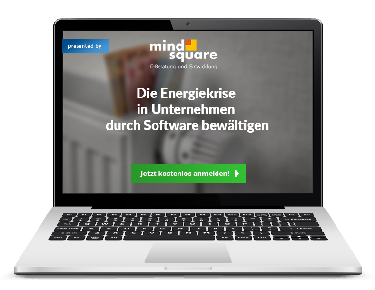 Energiekrise Software | laptop