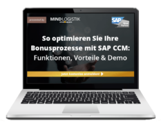 Webinar Bonusprozesse mit SAP CCM Sidebar