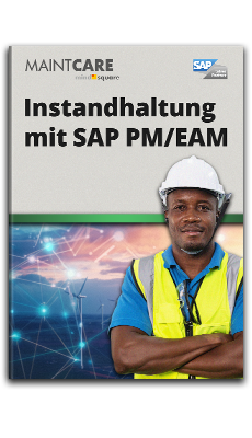 E-Book: Instandhaltung mit SAP PM/EAM