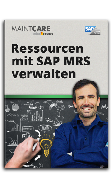 Whitepaper: Ressourcen mit SAP MRS verwalten