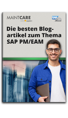 E-Book: Die besten Blogartikel zum Thema SAP PM/EAM