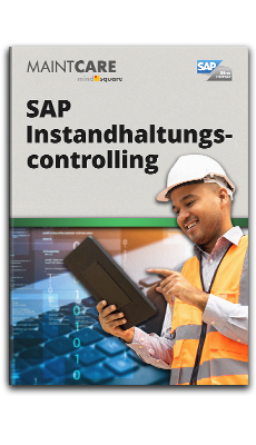 E-Book: SAP Instandhaltungscontrolling